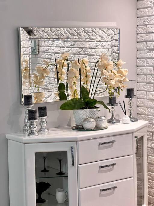 Apartament Zamojski Mlynska Zamość Екстериор снимка