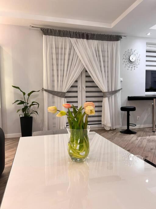 Apartament Zamojski Mlynska Zamość Екстериор снимка