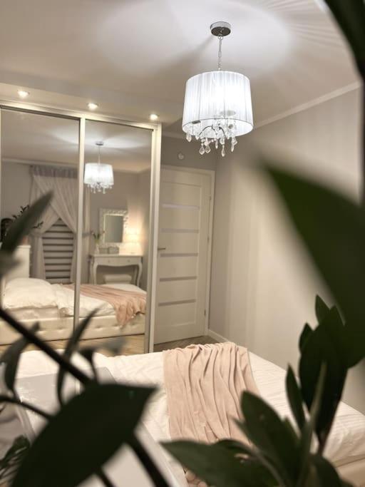 Apartament Zamojski Mlynska Zamość Екстериор снимка