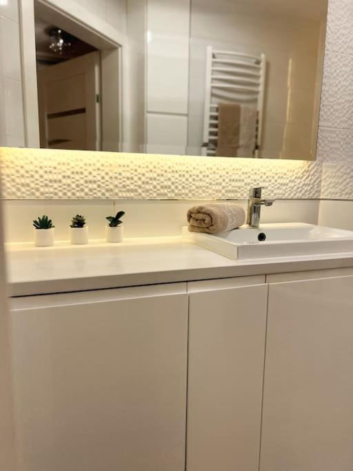 Apartament Zamojski Mlynska Zamość Екстериор снимка