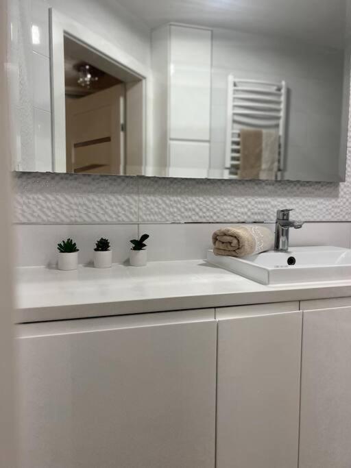 Apartament Zamojski Mlynska Zamość Екстериор снимка