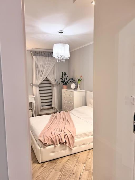 Apartament Zamojski Mlynska Zamość Екстериор снимка
